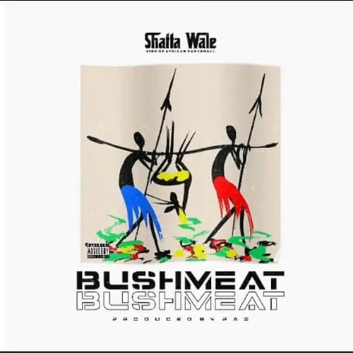 Shatta Wale - Bushmeat (Ajei) Shatta Wale - Bushmeat