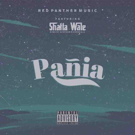 Shatta Wale - Panai Shatta Wale - Panai